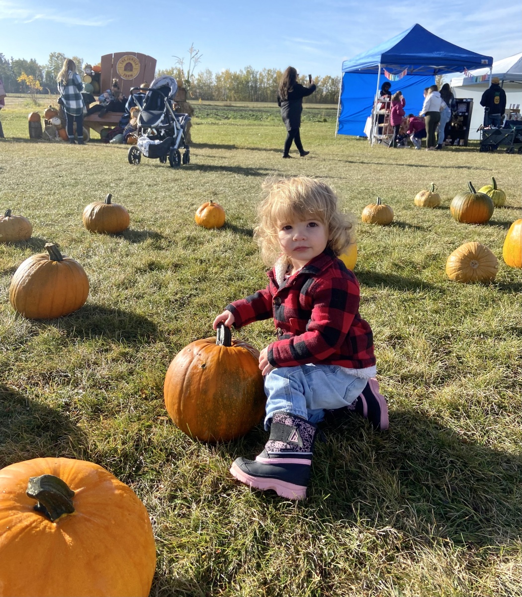 The Jungle Farm u-pick strawberries, pumpkins, fall festival in Red ...