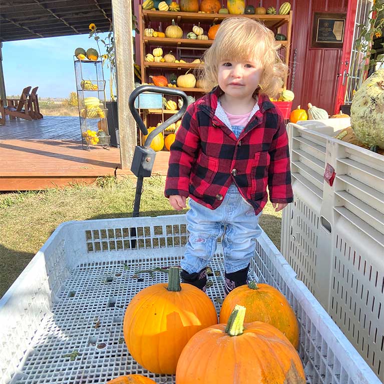 Complimentary wagons are available to move your u-pick pumpkins to our checkout area at the Jungle Farm in Red Deer County, Alberta!
