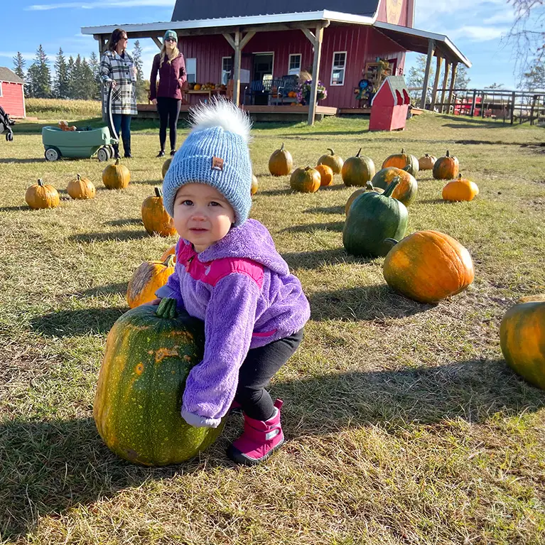 Pick-Your-Own Pumpkin in our u-pick pumpkin patch at the Jungle Farm in Red Deer County, Alberta!