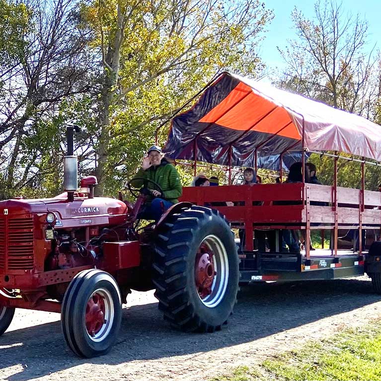Take a wagon ride out to our U-Pick fields for a day of u-pick strawberries, pumpkins, raspberries, or saskatoons!